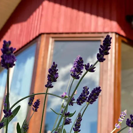 Holiday home Ferienhaus“wieden Am See“ *